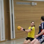 2016_01_23 Landesliga Frauen